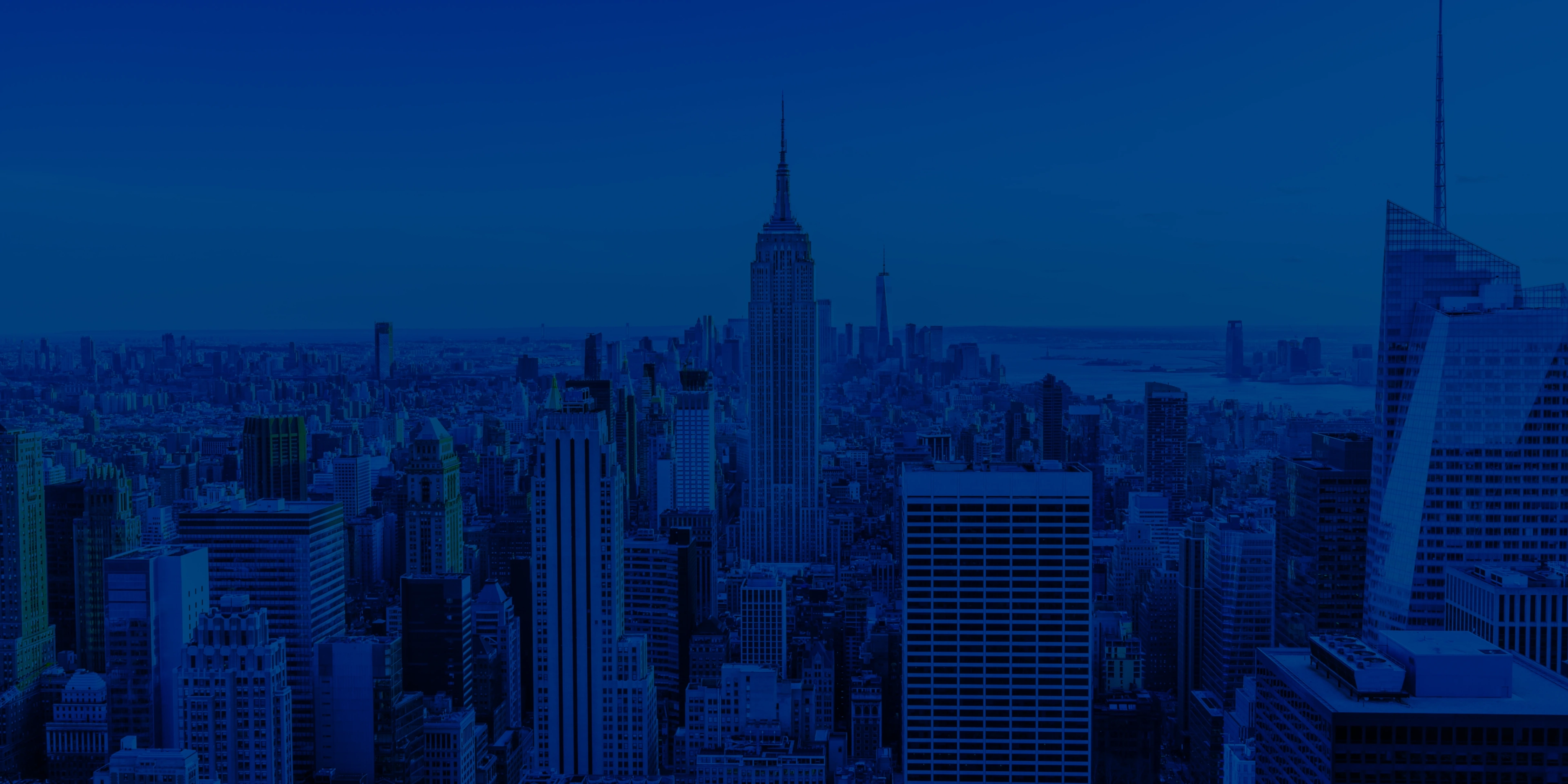 banner-image